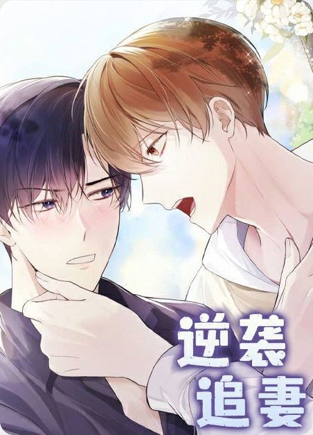 逆袭追妻 逆袭追妻
