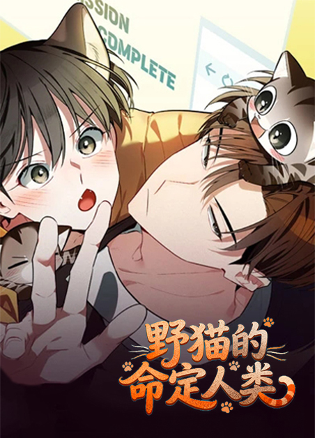 野猫的命定人类
