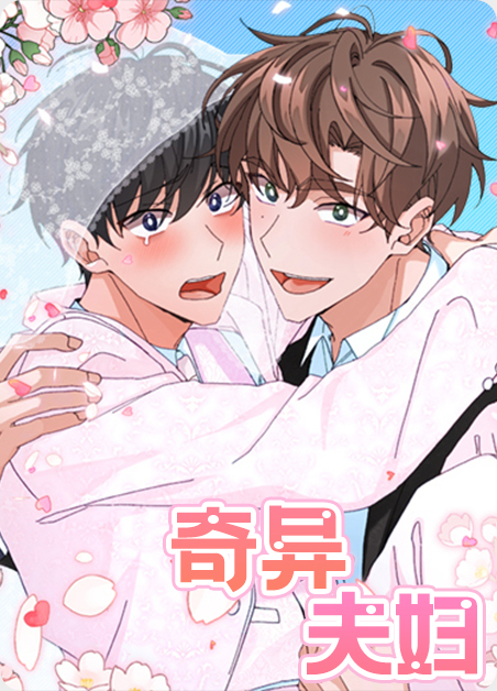 奇异夫妇 奇异夫妇