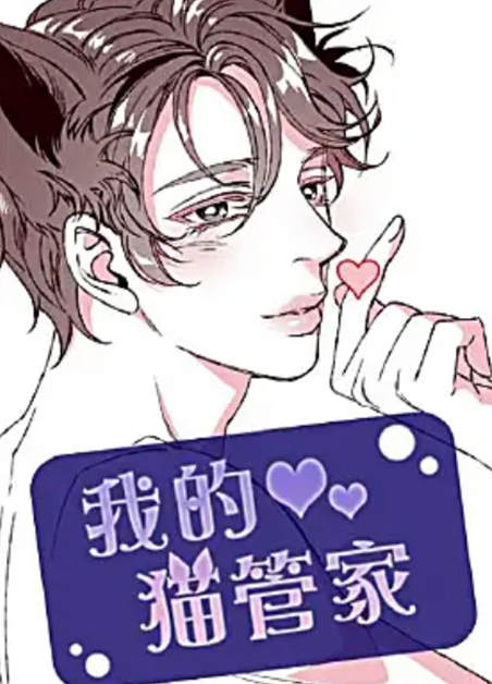 我的猫管家
