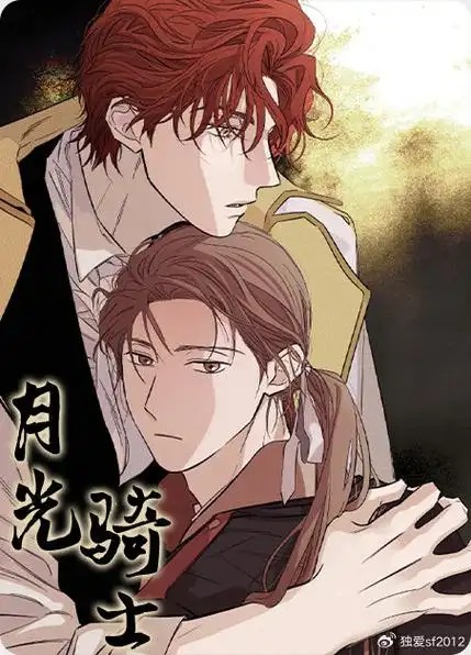 月光骑士 月光骑士