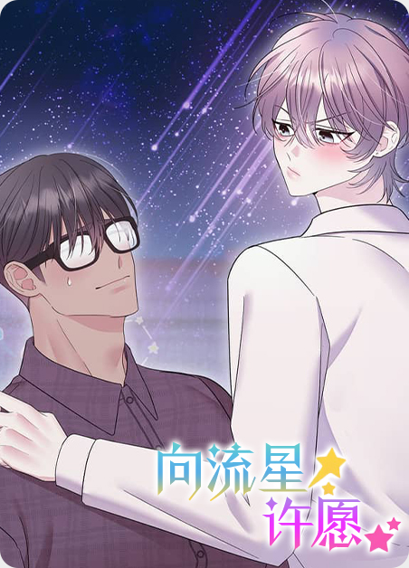 向流星许愿 向流星许愿