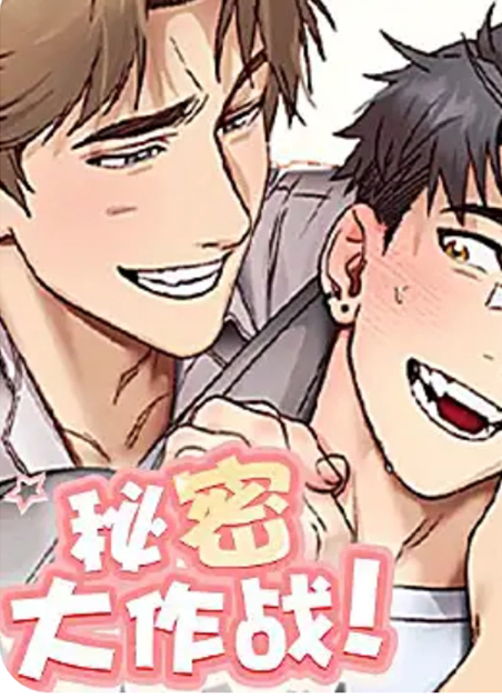 秘密大作战