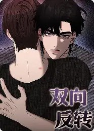 双向反转