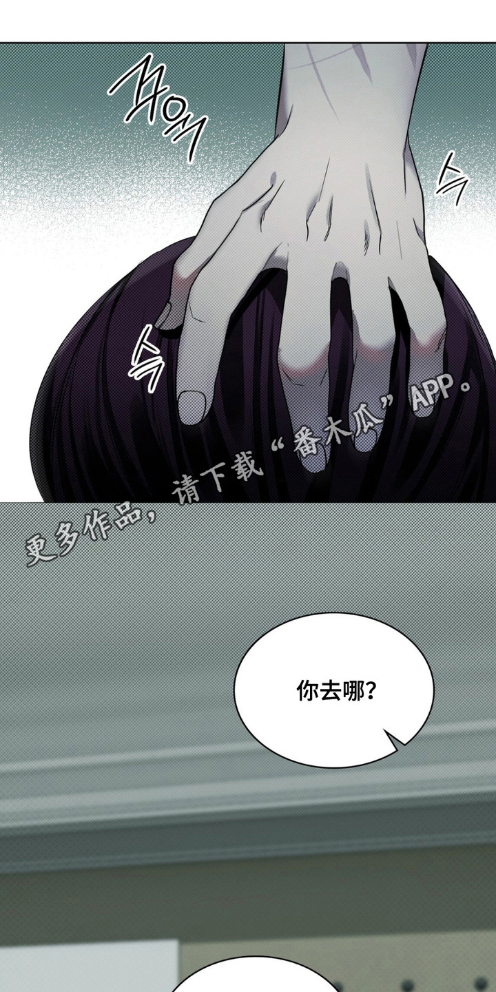 画中人 - 黑匣子 - 第6页