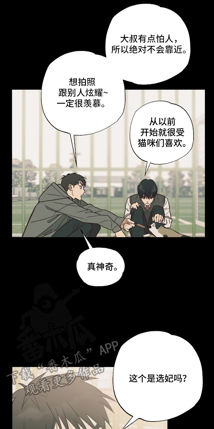 猫大爷和我 - 老朋友 - 第21页