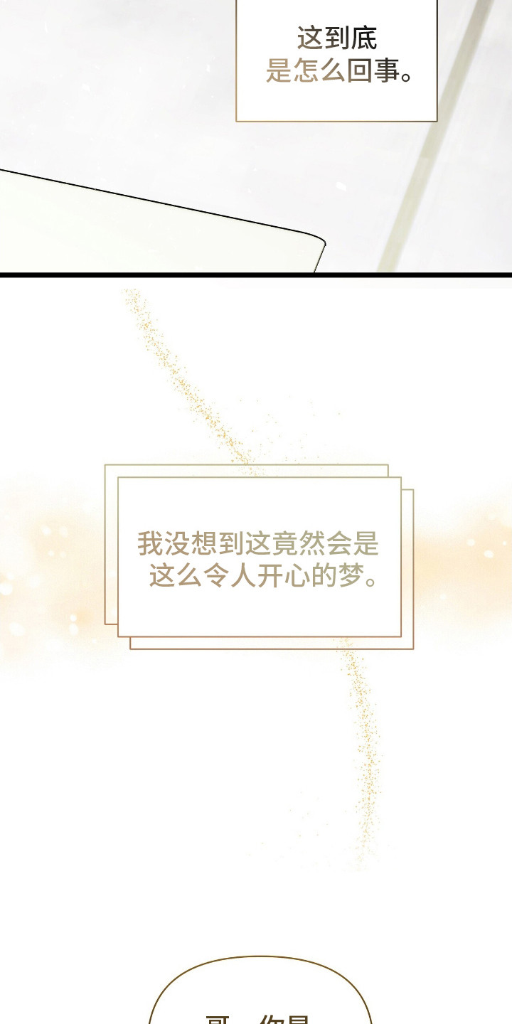 重回巅峰 - 开心的梦 - 第17页