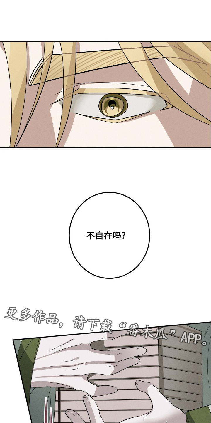 玄华囚笼 - 杀气 - 第7页