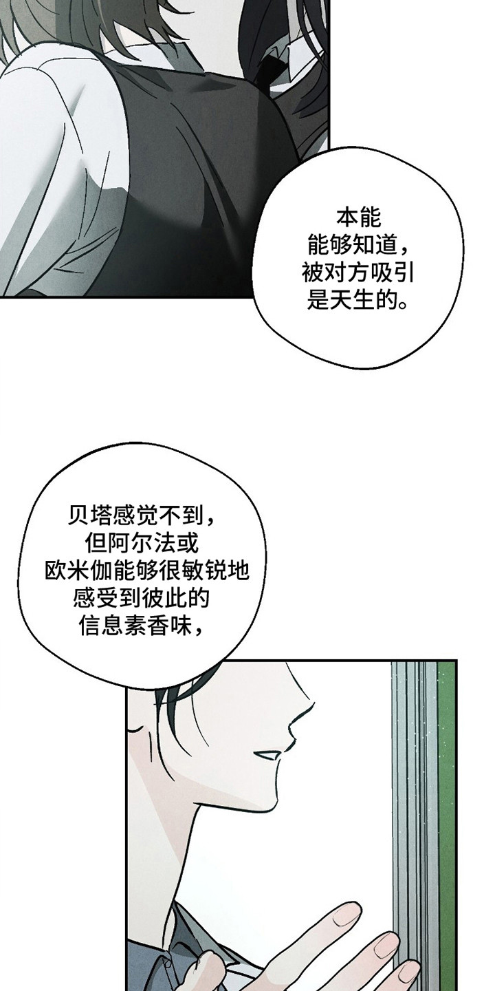 不透明关系 - 第二属性 - 第21页