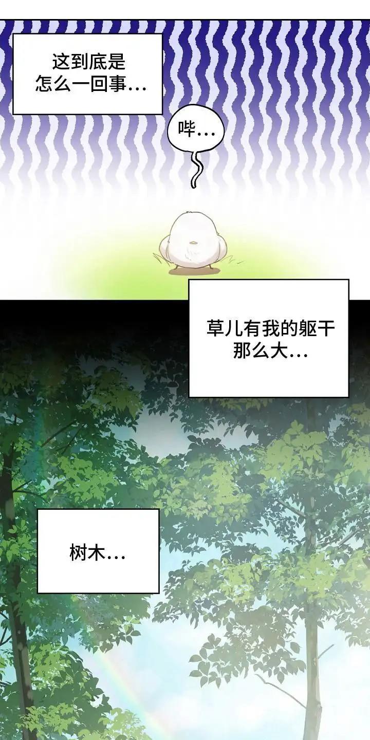 白鸟奇遇记 - 白色小鸟 - 第6页