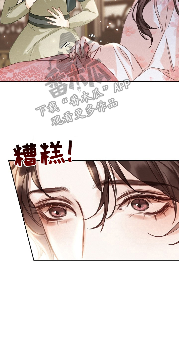 君心为我倾 - 不同的身份 - 第13页