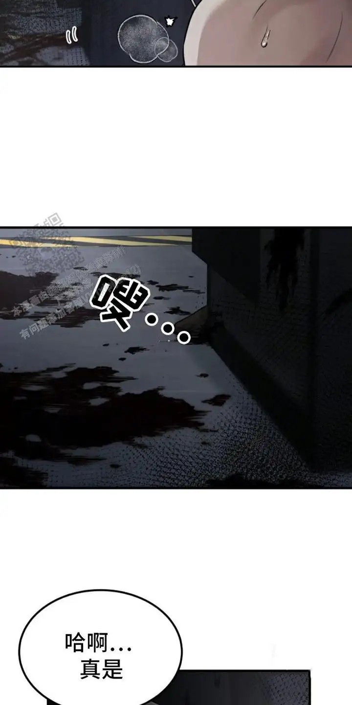 特殊实验 - 老鼠 - 第17页