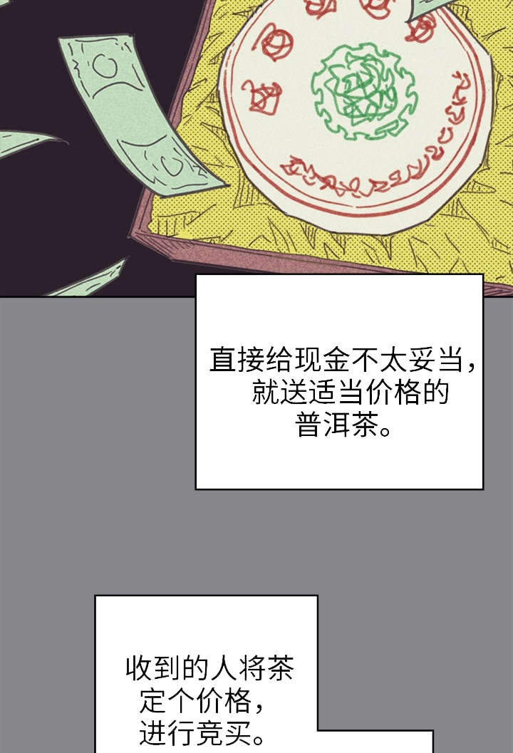 开或关 - 普洱茶 - 第17页