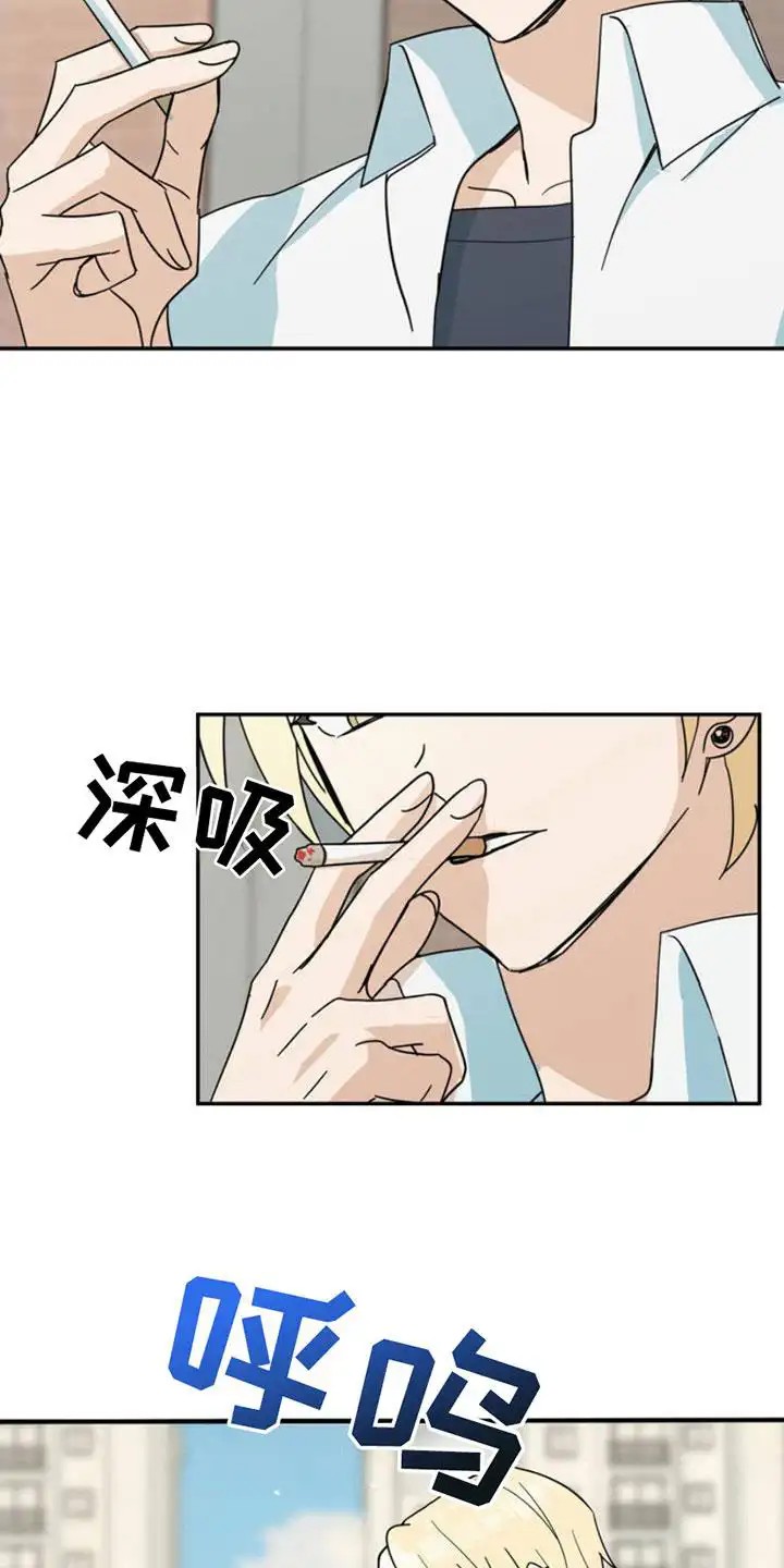 互补人生 - 叫什么名字 - 第20页
