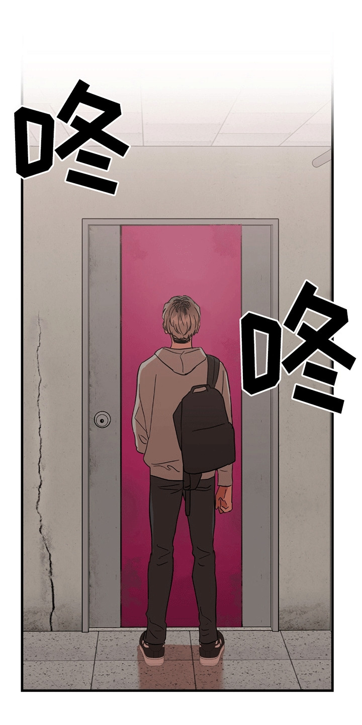 当场逮捕 - 条件 - 第12页
