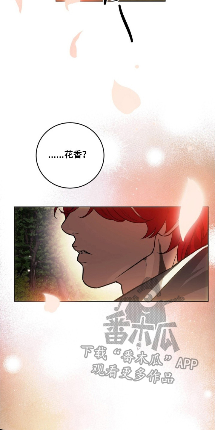 救赎之烬 - 不好的预感 - 第23页