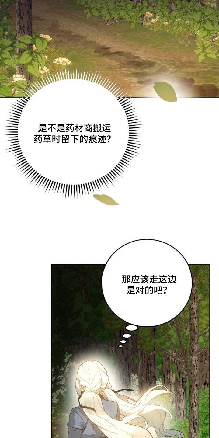 救赎之烬 - 不好的预感 - 第17页