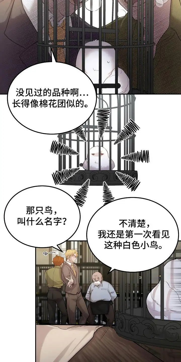 白鸟奇遇记 - 捕获 - 第12页