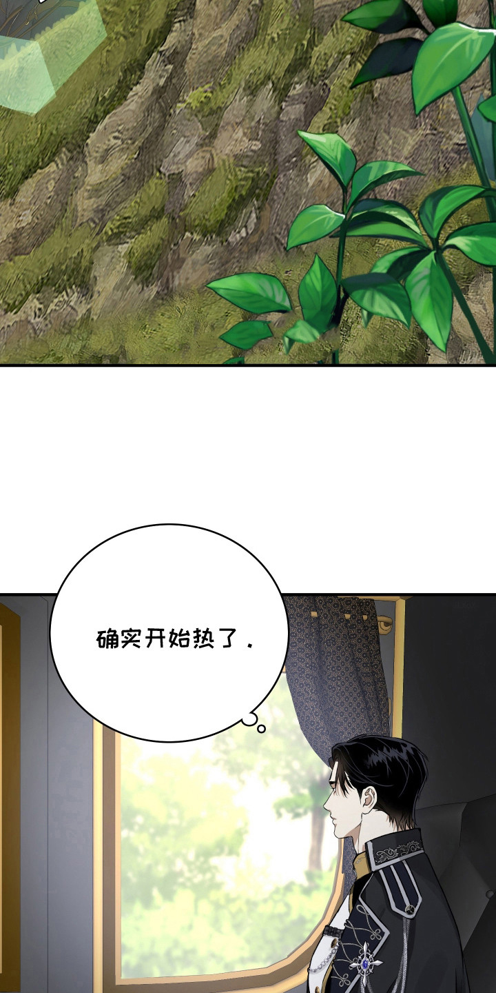 白夜的花路 - 联姻 - 第15页