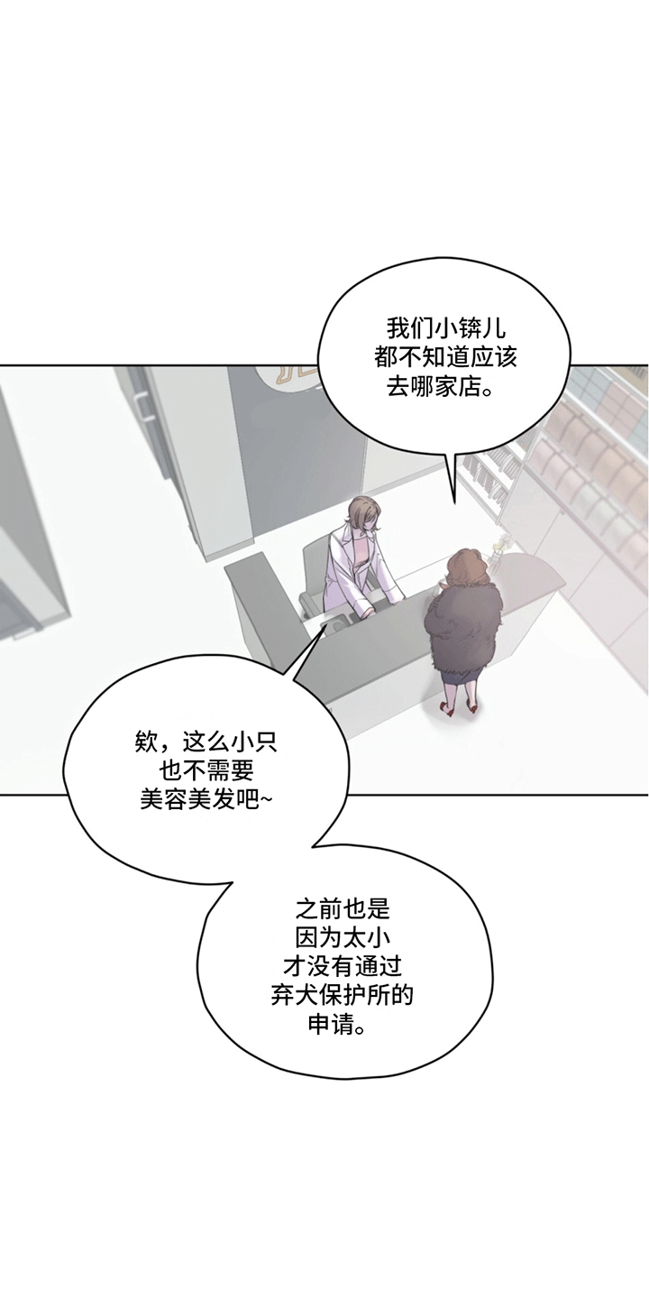 呼吸的记忆 - 兽医 - 第18页