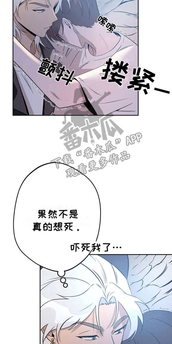 天使之吻 - 天使 - 第9页