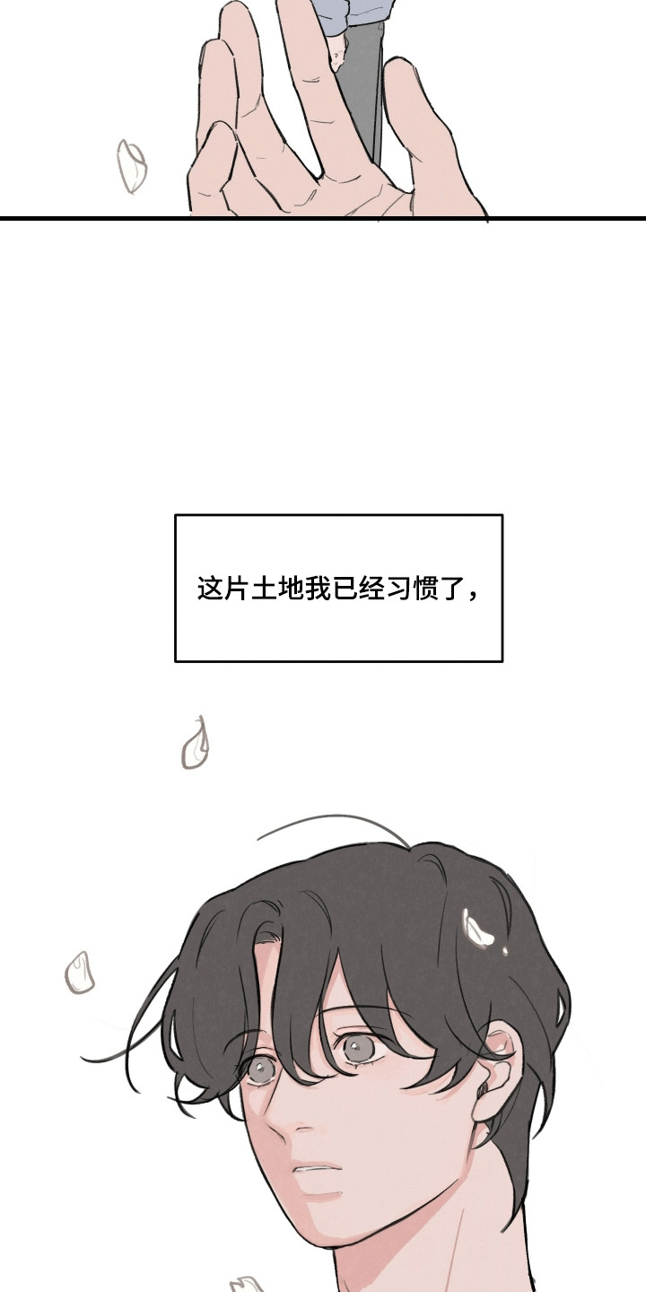 多彩青春 - 等价交换 - 第8页