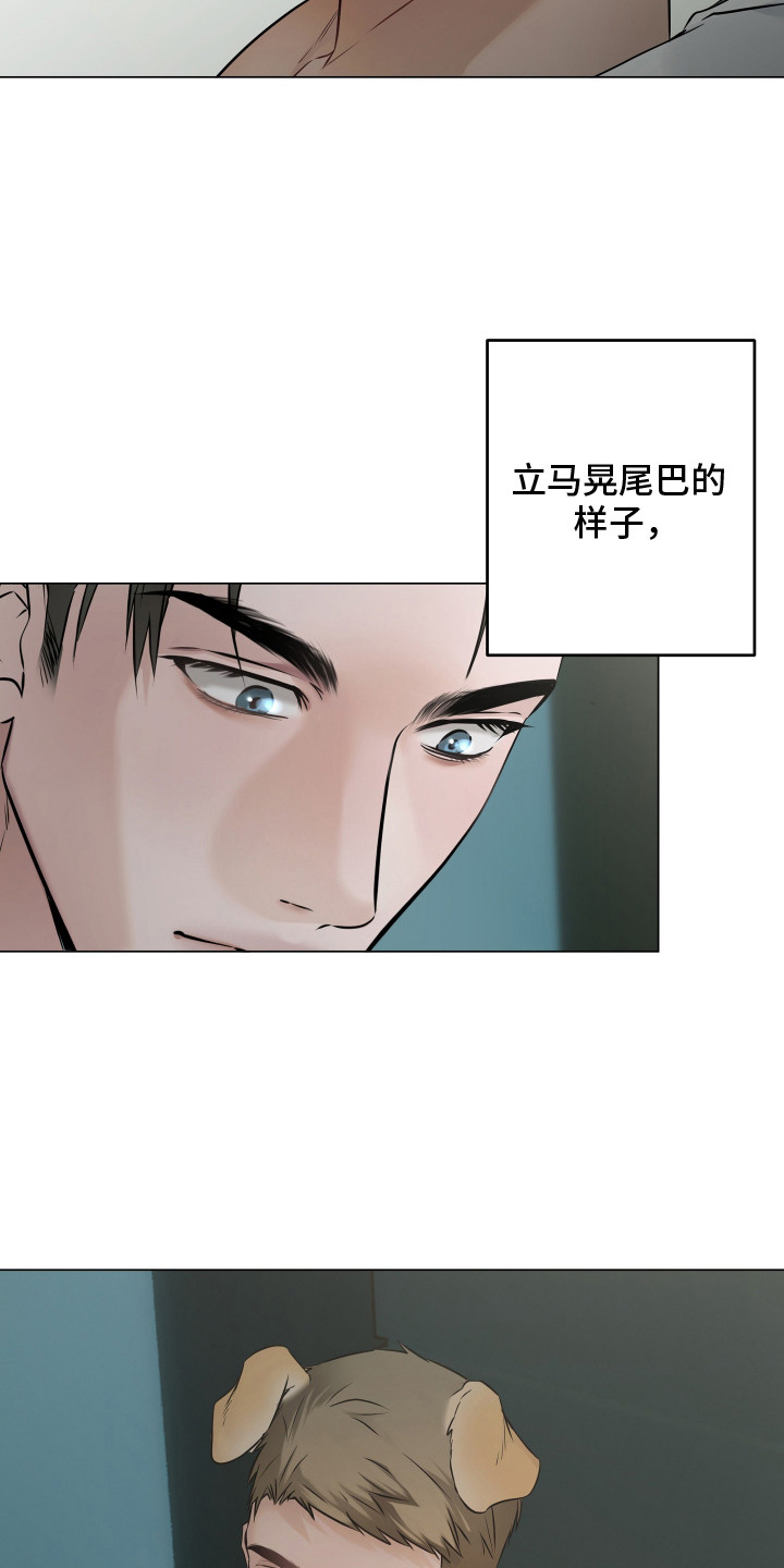 忠诚的背面 - 保密 - 第5页