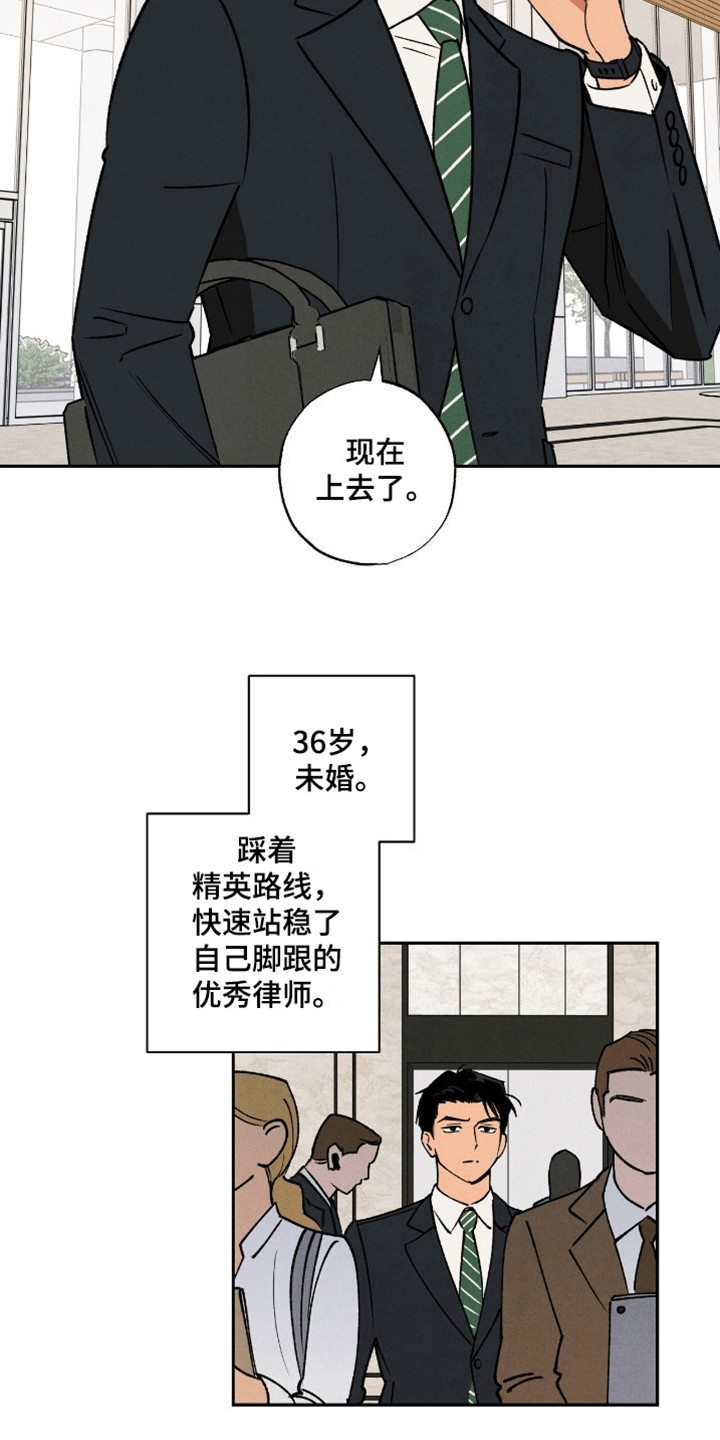 律所风波 - 有洁癖的男人 - 第16页