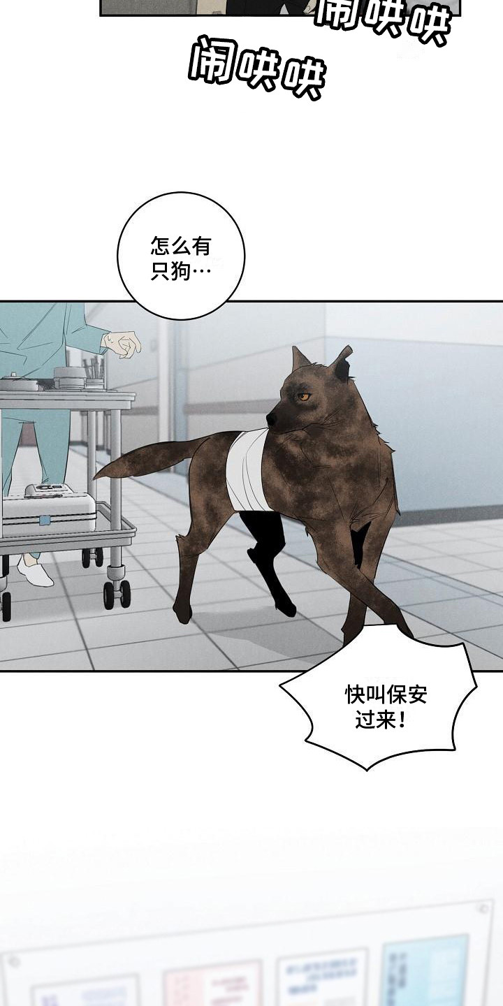 迷失方向 - 不见了 - 第9页