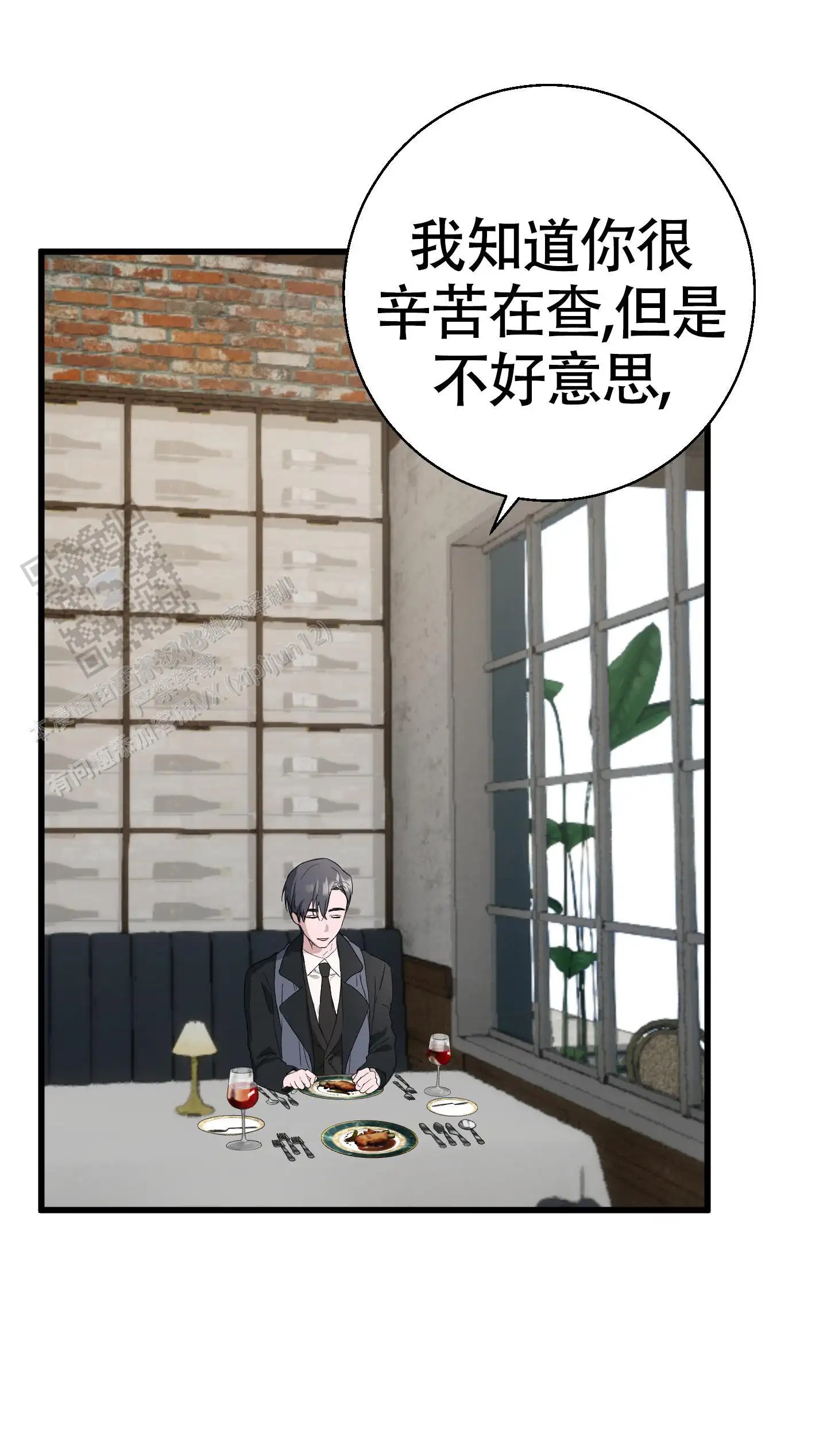 神秘委托人 - 一看就知道了 - 第13页