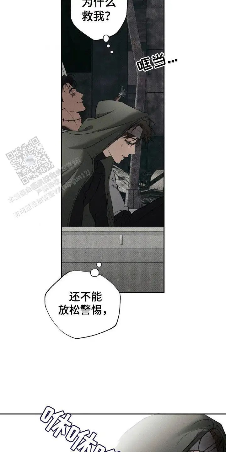 无息之行 - 回家 - 第13页
