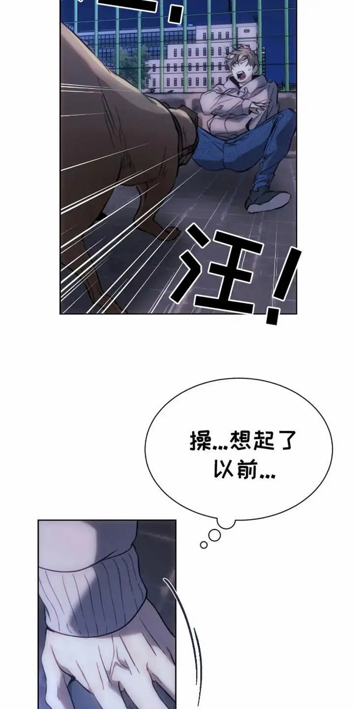 坏苹果狗笼 - 偶遇 - 第19页