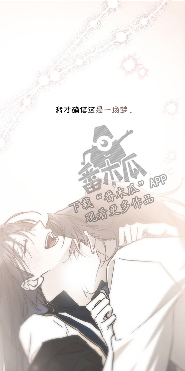 吻痕入梦来 - 一场梦 - 第13页