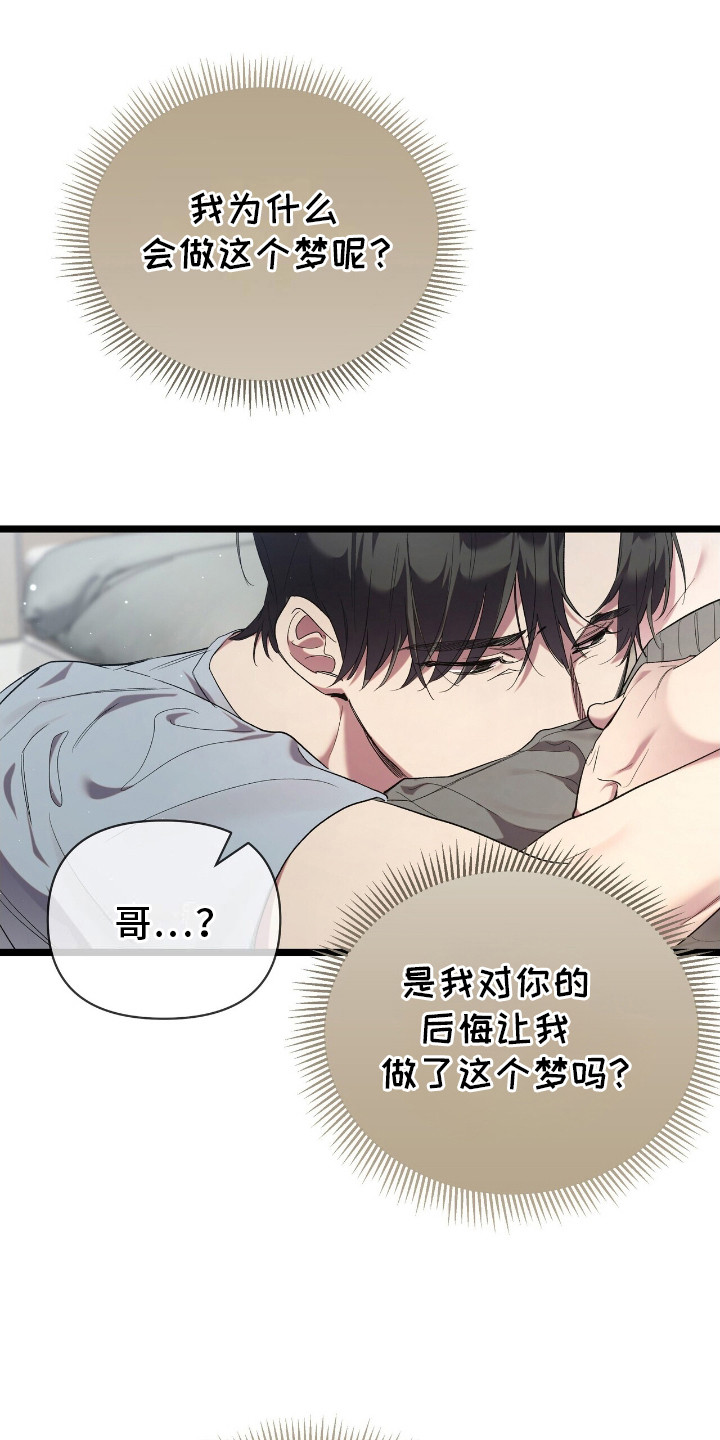 重回巅峰 - 开心的梦 - 第19页