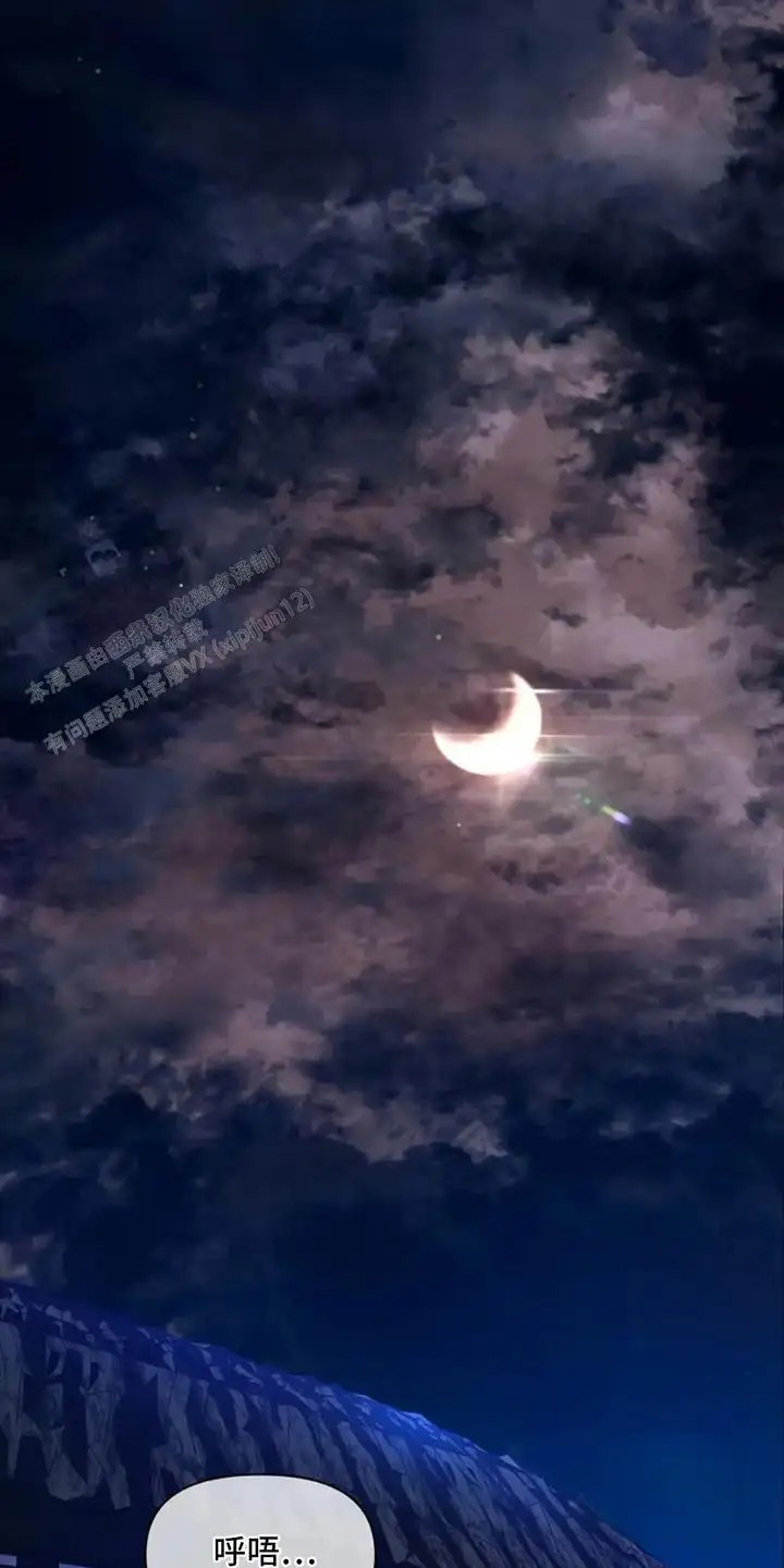乱世之花 - 准备出征 - 第17页