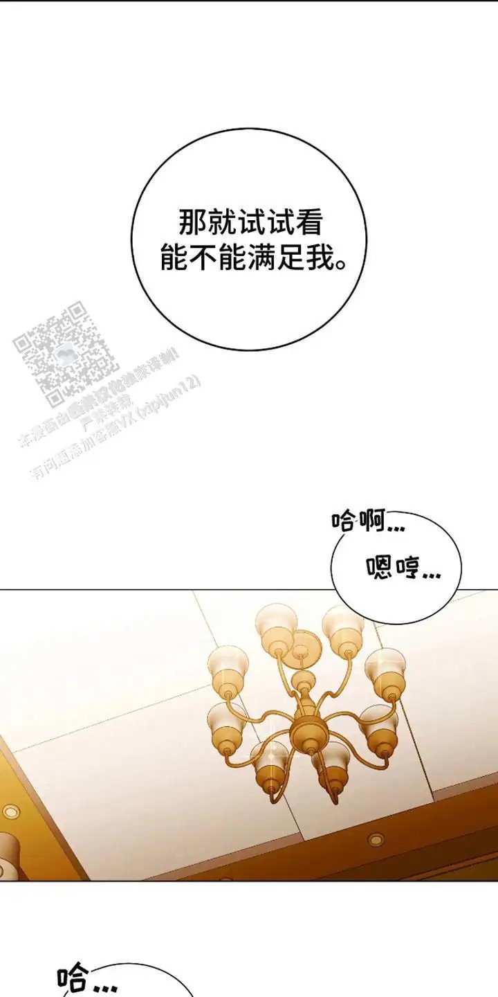 坏苹果替代品 - 试试看 - 第17页