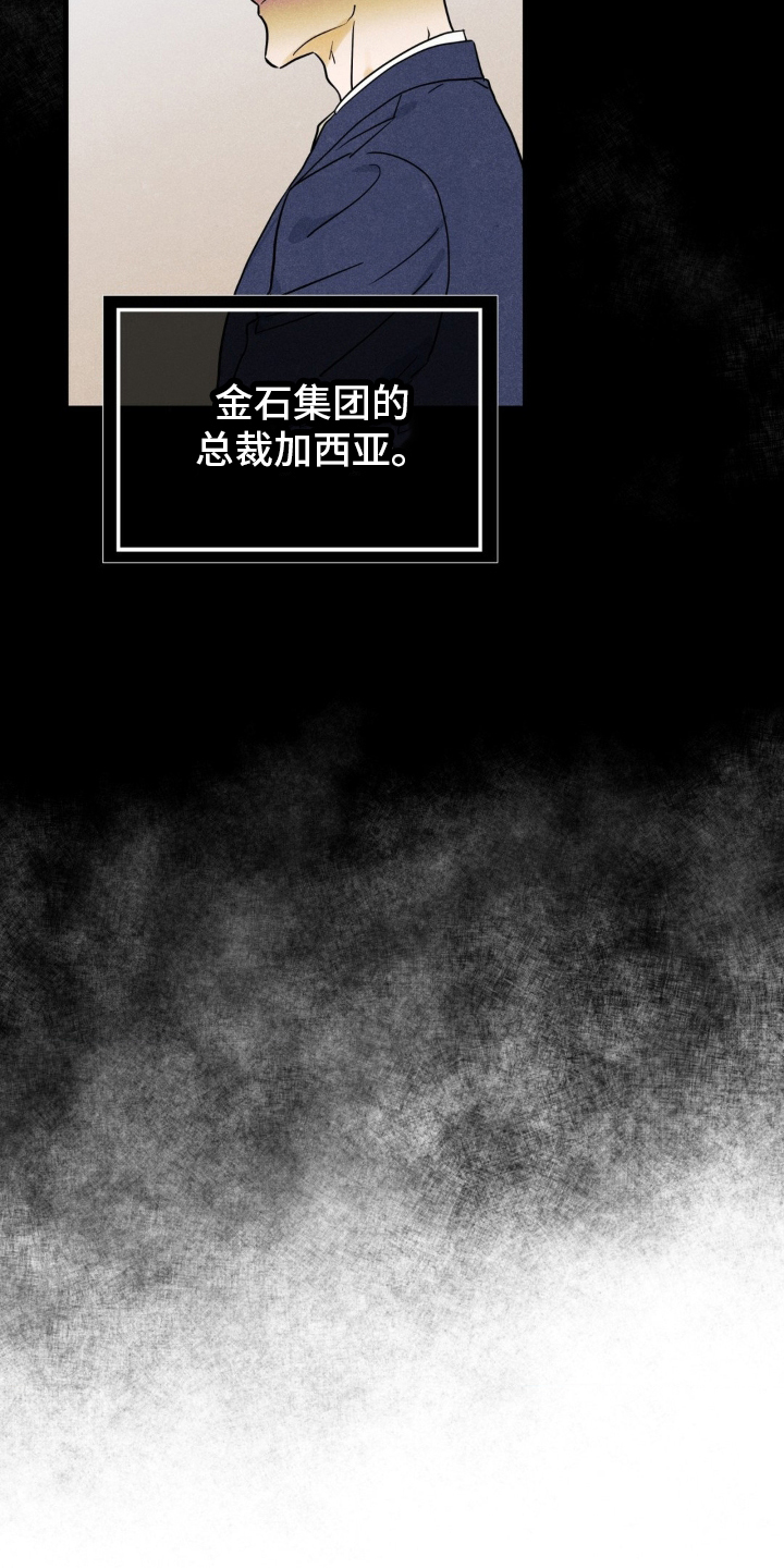 坏苹果 - 代理人 - 第10页