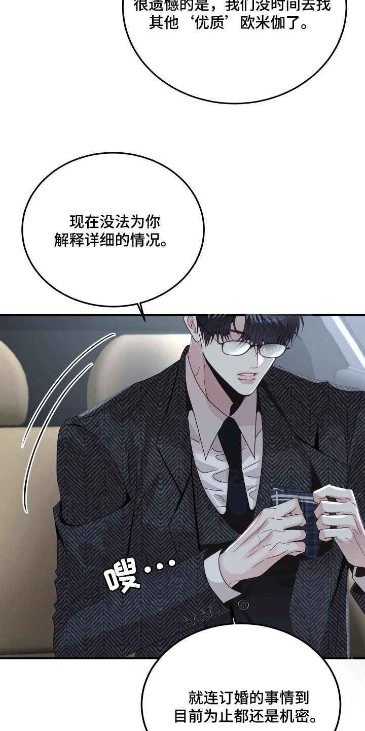 欧米伽的伪装 - 替身 - 第20页