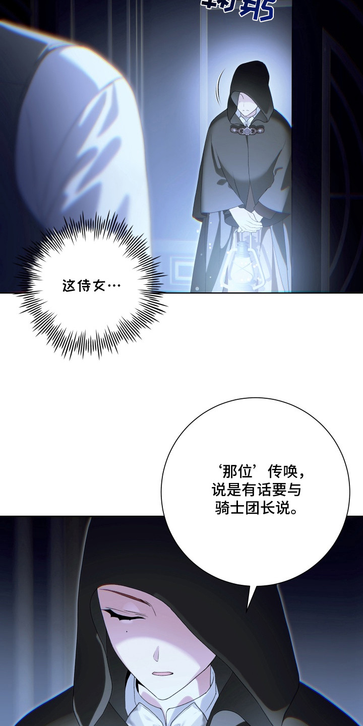 神堕之夜 - 召见 - 第5页