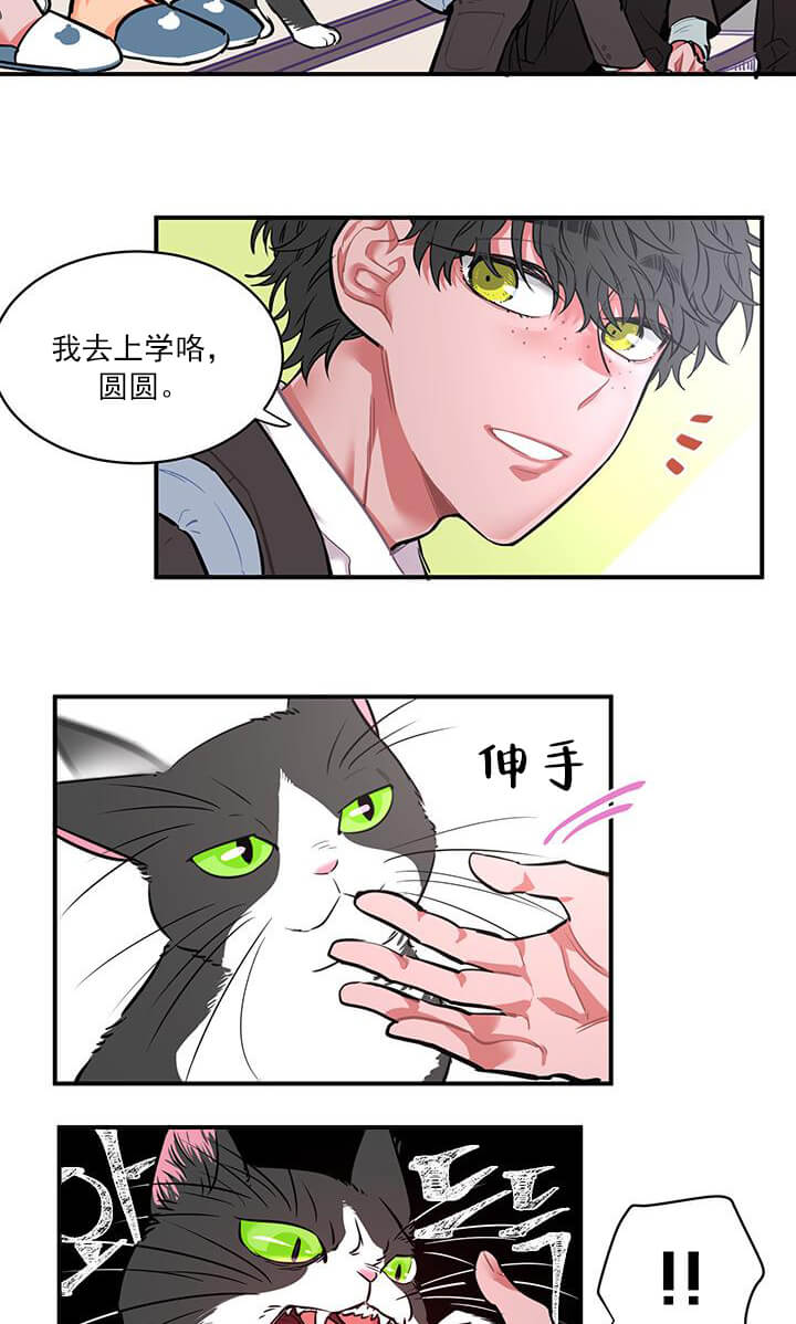 交错的海洋 -   - 第6页