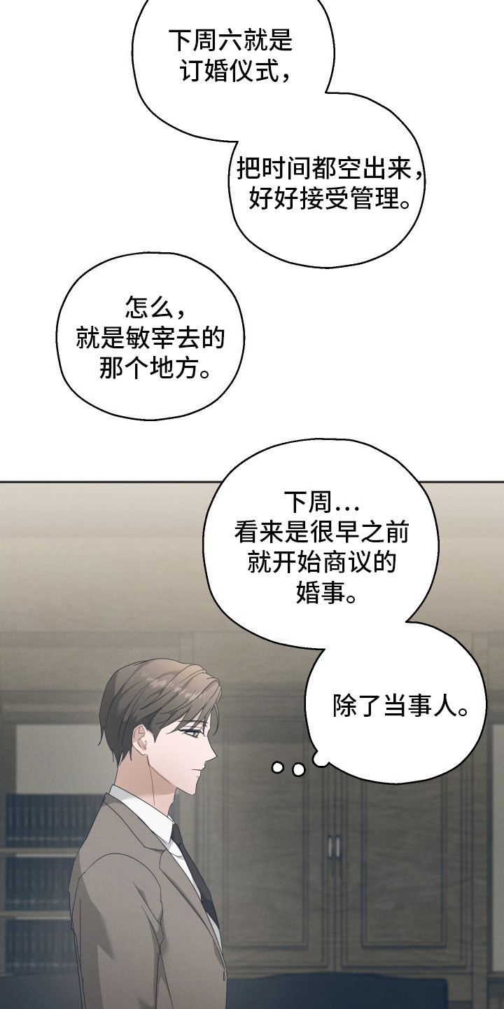 记忆的尽头 - 联姻 - 第18页