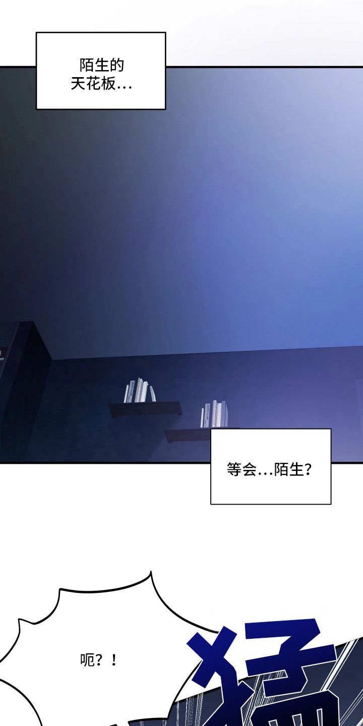系统逼我当霸总 - 陌生房间 - 第13页