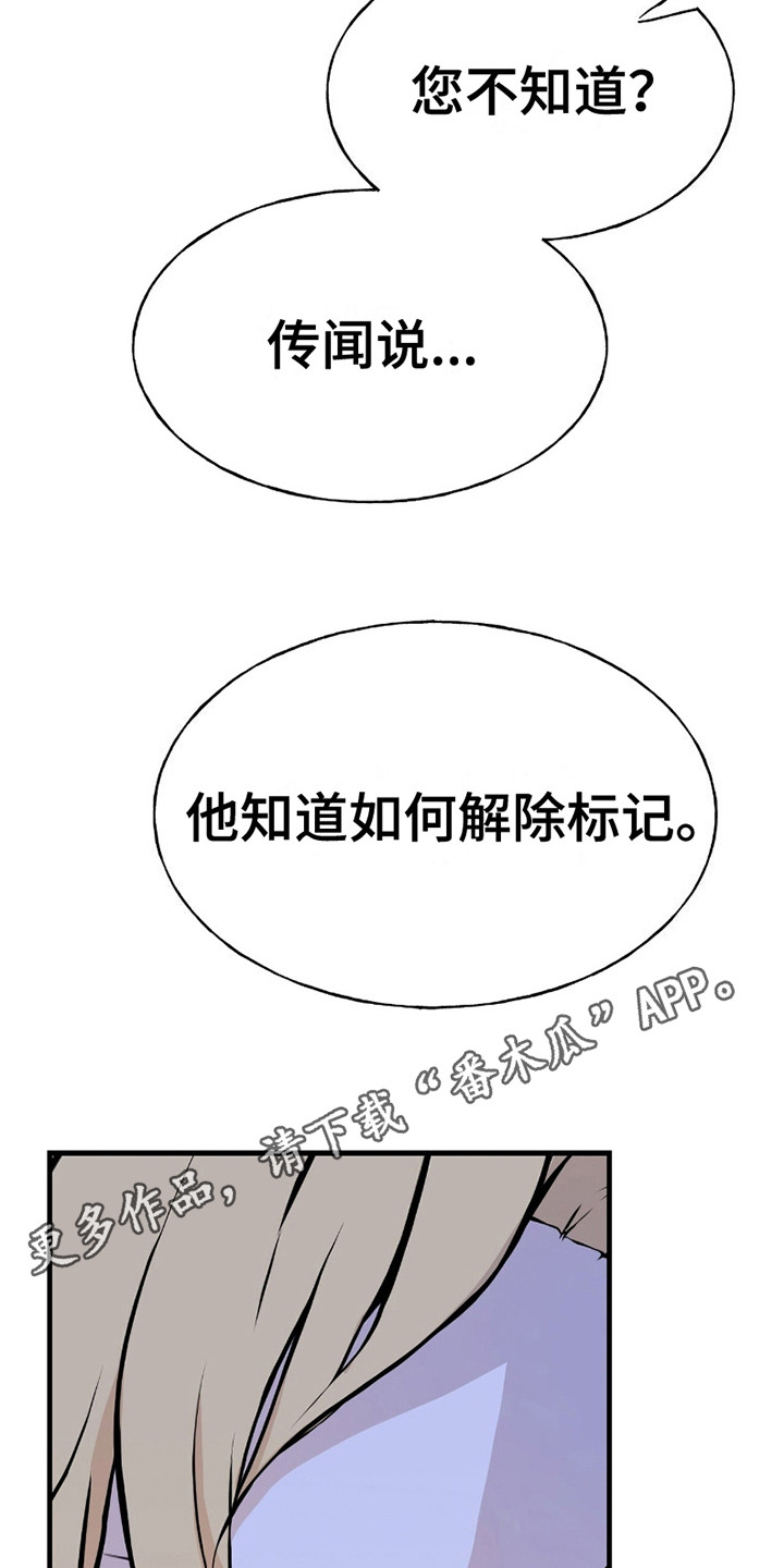 皇家婚礼 - 传闻 - 第6页
