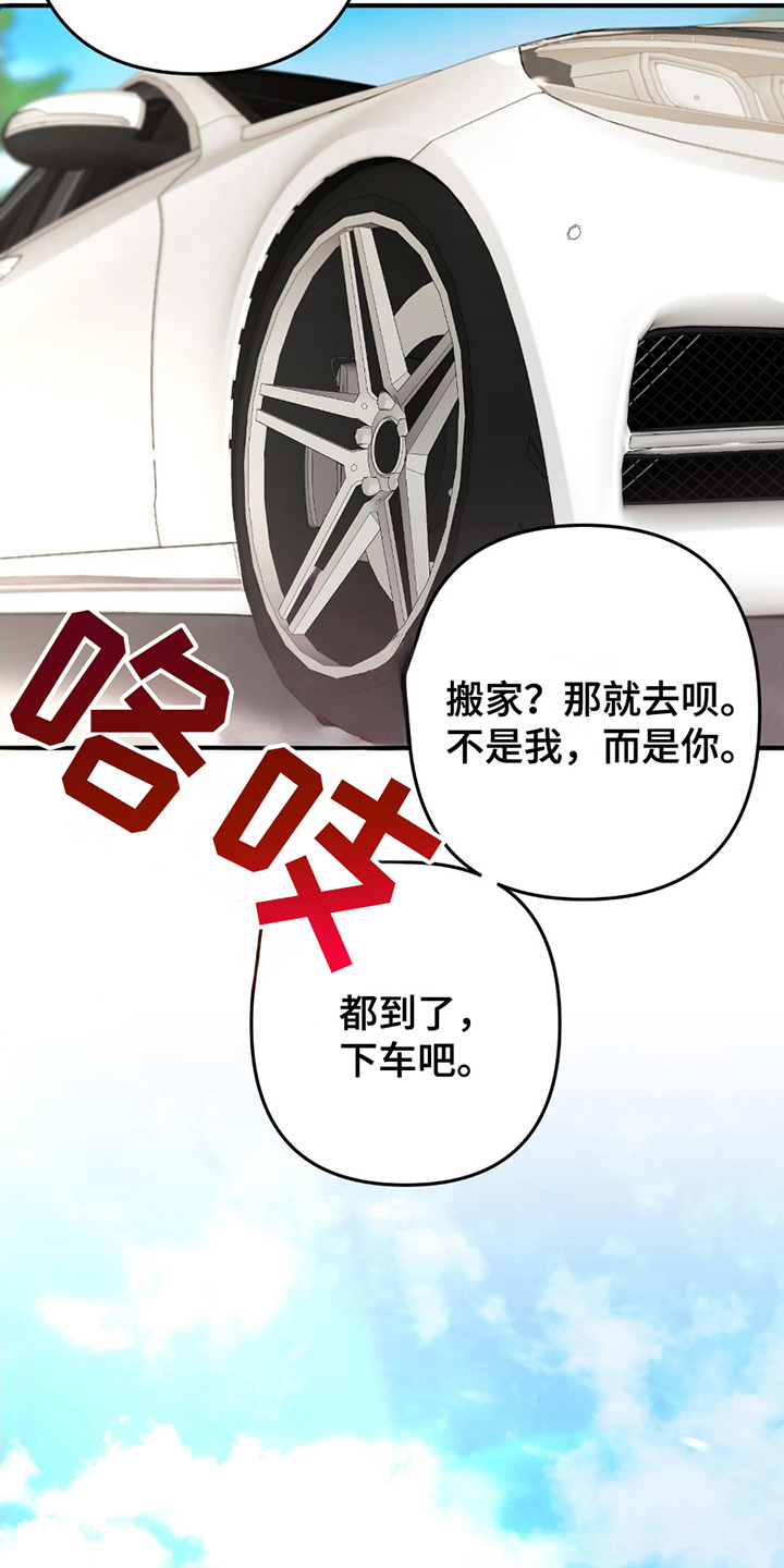 玫瑰庭院 - 灰熊 - 第12页