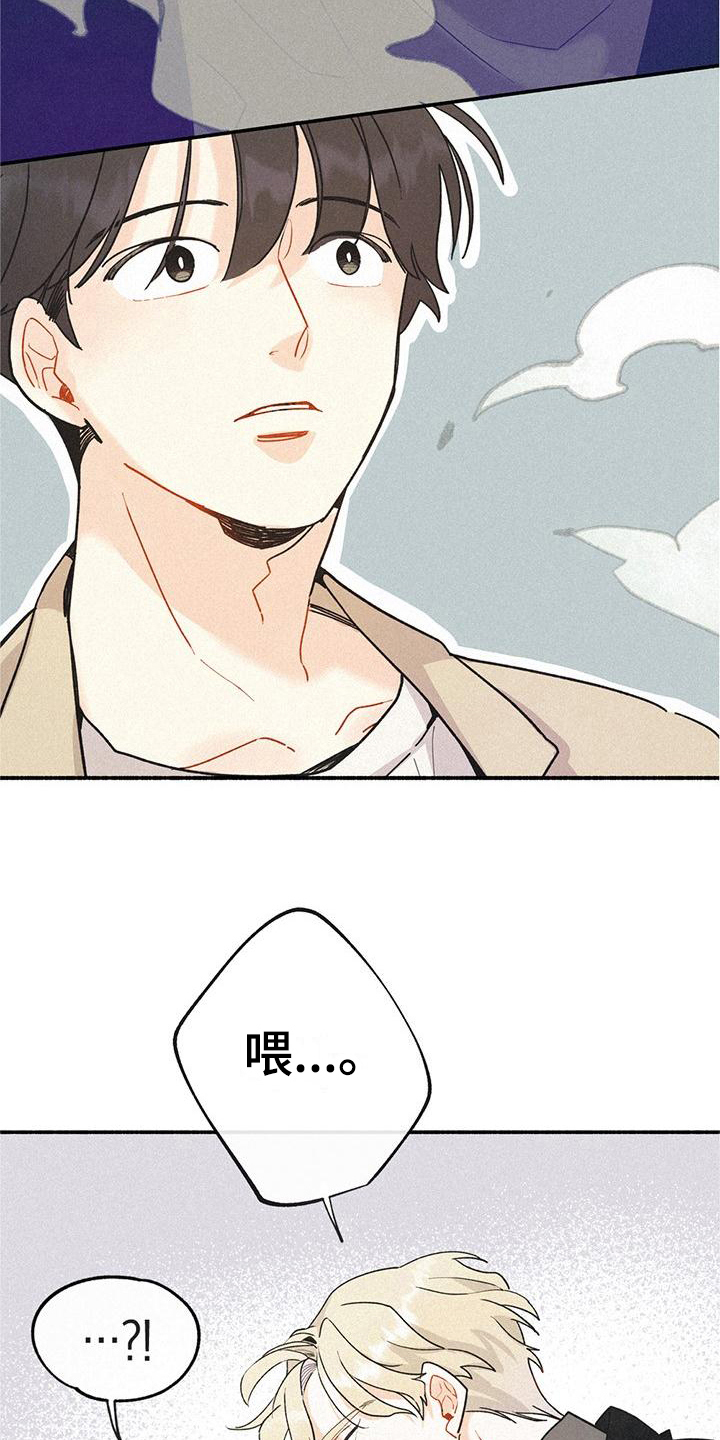 摩尼珠 - 相似 - 第14页