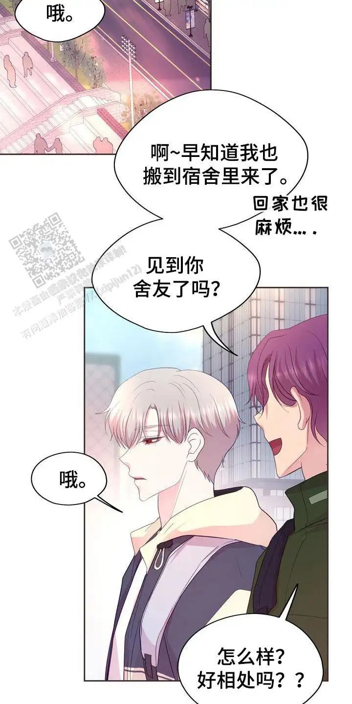 命运伴侣 - 好奇 - 第17页