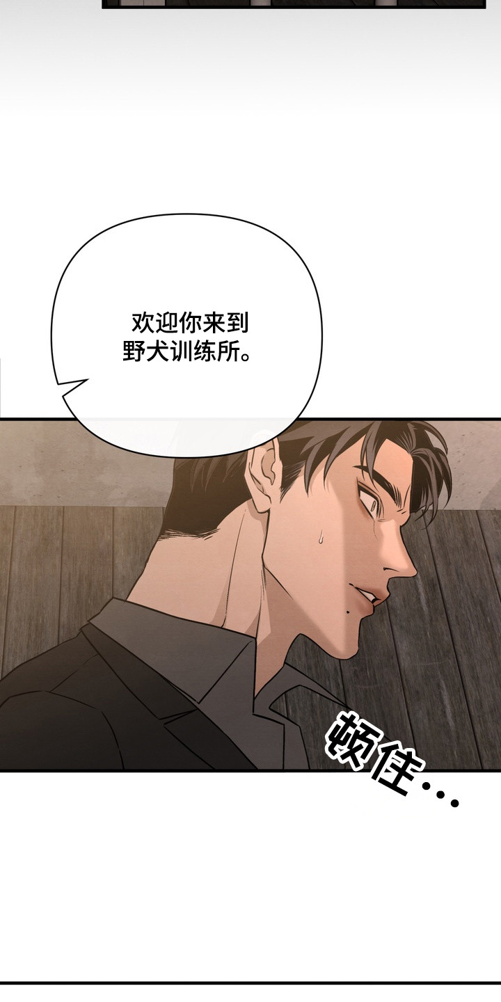 开发训狗 - 狗盆 - 第25页