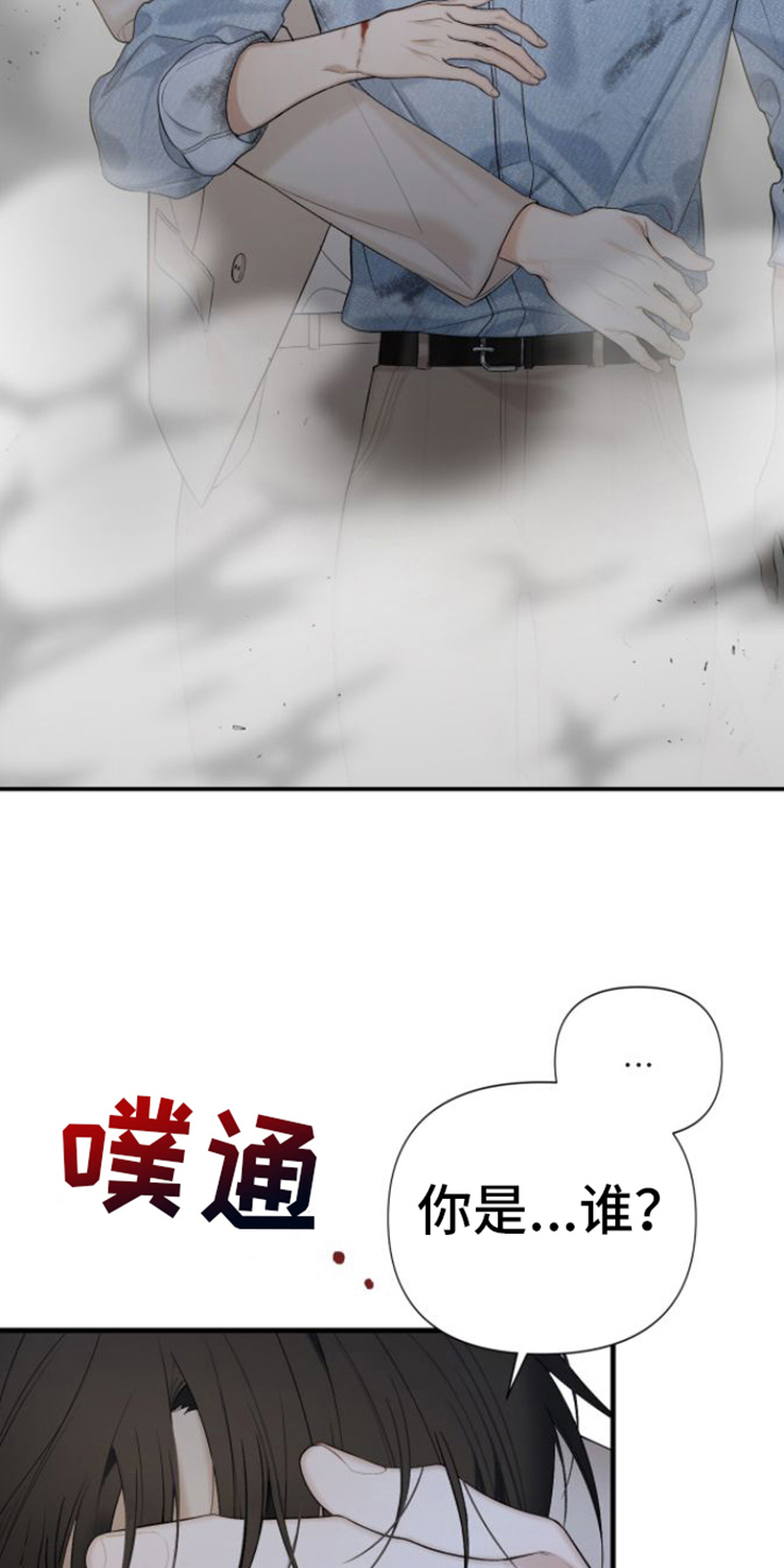 向导指南 - 保护 - 第20页