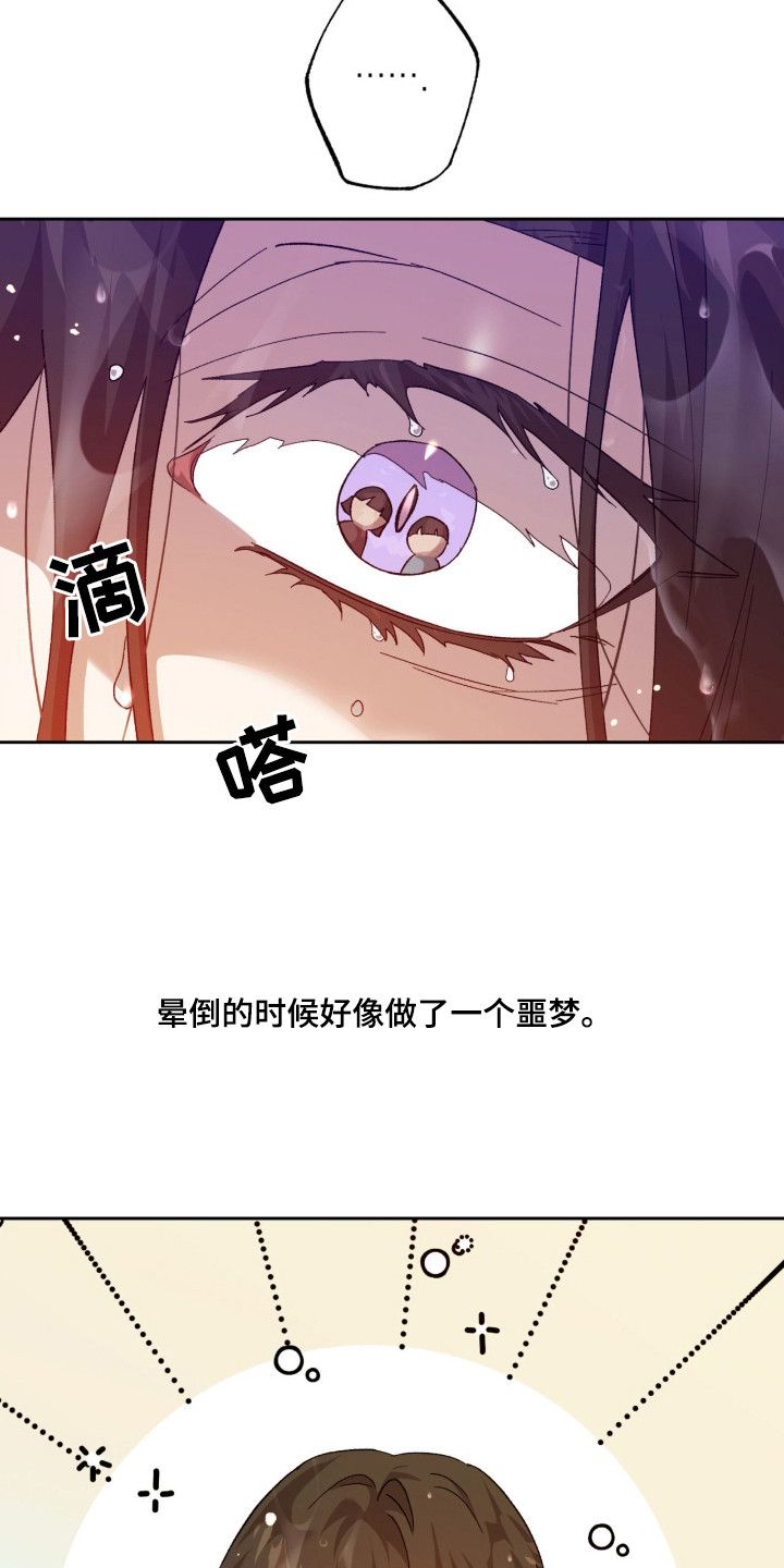 双生悲愿 - 怪物 - 第13页