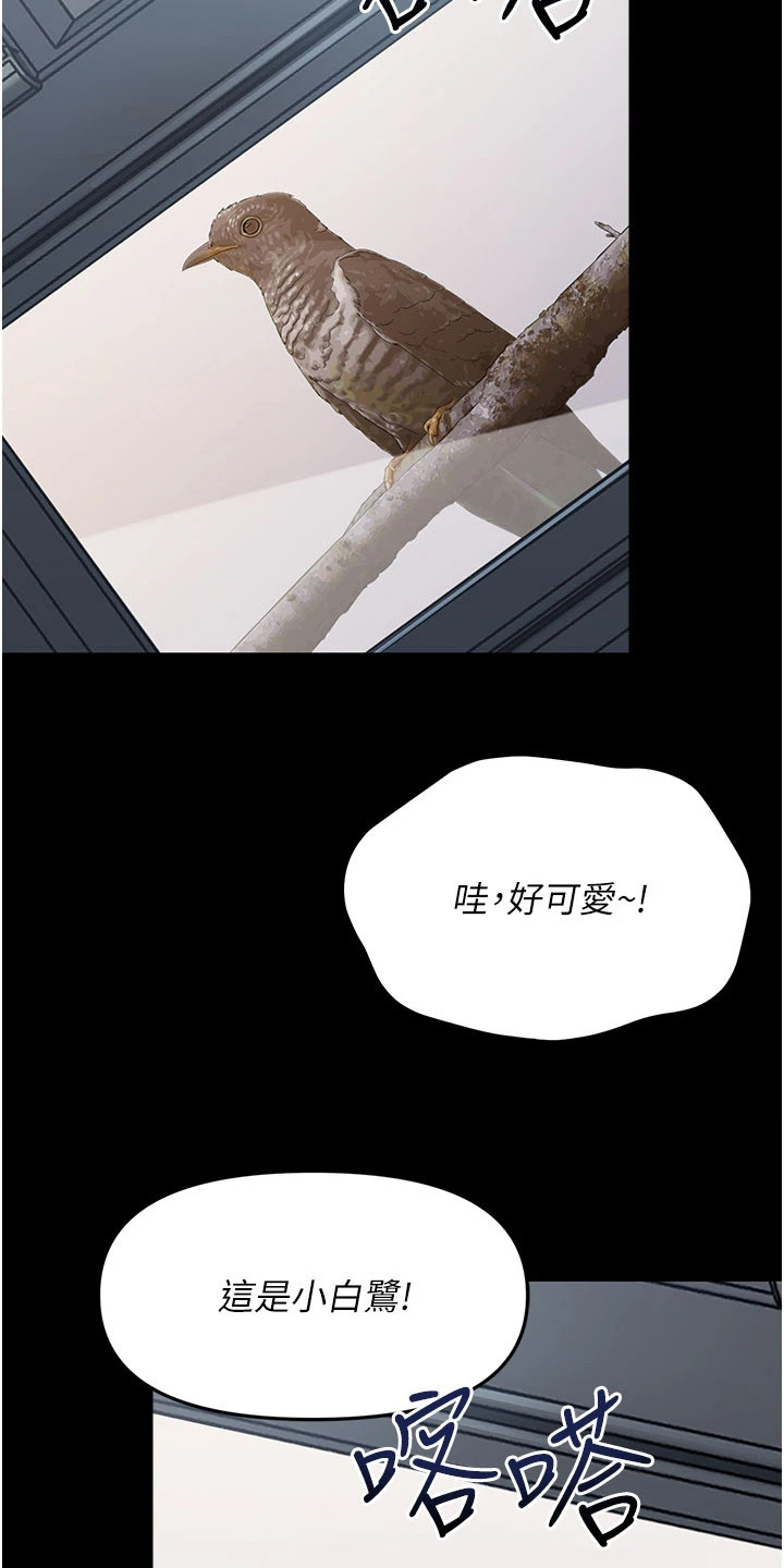 童颜牢笼 - 困扰 - 第22页